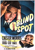Blind Spot poster