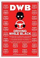 Driving While Black