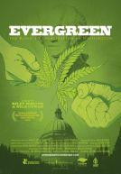 Evergreen : The Road to Legalization
