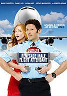 Larry Gaye : Renegade Male Flight Attendant