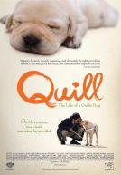 Quill: The Life of a Guide Dog