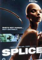 Splice (DVD)