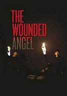 Ranenvy Angel - The Wounded Angel
