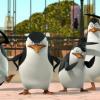 De pinguïns van Madagascar (NV)