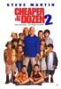 Cheaper By the Dozen 2